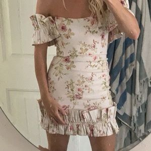 V CHAPMAN HOLLYHOCK PINK ROSE